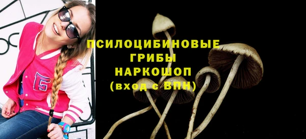 герыч Аркадак